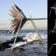 Illustration for article titled These Eerie Kinetic Sculptures by the Sea Would Also Make Electricity